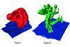 Three-dimensional reconstructions of the dendrite structures