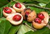 Nutmeg fruit and seeds