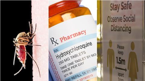 A mosquito, a bottle of hyroxychloroquine tablets and social distancing advice