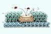 An image showing tandem catalysis with porous overcoating structure