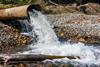 An image showing water gushing out of a wastewater pipe into a river