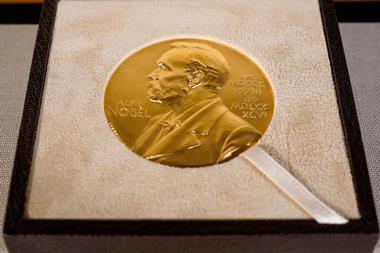 An image showing a Nobel medal