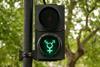 An image showing a traffic light where the green represents tolerance towards all sexual orientations