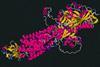 Protein UniProt A0A143ZZK9 from the Malaria parasite