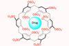 Chemical structure of Pillar[6]MaxQ