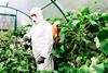 An agricultural worker in protective clothing spraying plants in a greenhouse