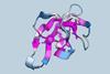 A folded amino acid sequence showing areas of negativity and positivity