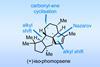 Iso-phomopsene