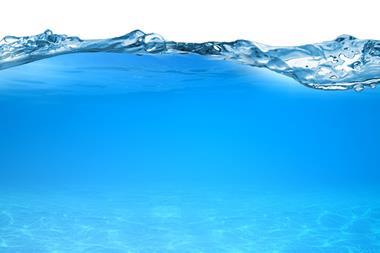 Split-level view of water and sandy sea floor