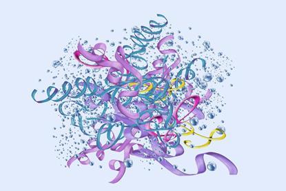 A model of a haemoglobin molecule