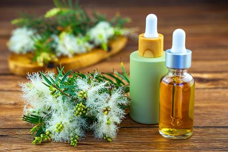 Some small branches, leaves and flowers from a teatree plant and some dropper bottles of oils