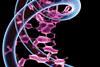 double helix image